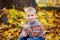 Large portrait of a boy in the open air. Cute boy walking in the autumn Park. The child looks at the camera with a smile