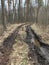 A large puddle on the road in the forest. Stagnant water on a forest path. Swamp on a dirt road in the village