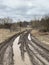 A large puddle on the road in the forest. Stagnant water on a forest path. Swamp on a dirt road in the village