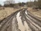 A large puddle on the road in the forest. Stagnant water on a forest path. Swamp on a dirt road in the village