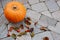 Large pumpkin surrounded by red crab apples and fallen leaves