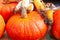 Large pumpkins and corn cobs dsplayed in autumn fair