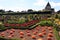 Large pumpkins in an organic vegetable garden