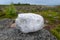 Large quartz boulder in the tundra