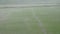 Large rain storms fall in rice fields.