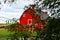 Large Red Agricultural Barn