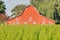 Large Red Barn and Tree Farm