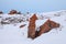 Large red boulders at Red Rock Coulee, Alberta, in winter