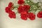 Large red carnations with white dried small flowers on table covered with a delicate cloth