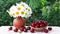 Large red cherries in a basket and daisies in a jug isolated on green.