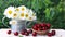 Large red cherries in a basket and daisies in a watering can isolated on green.