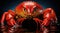 A large red crab sitting on top of a body of water. Generative AI image.