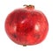 Large red fruit pomegranate