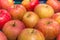 Large red and green fresh Japanese apples,