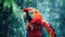 Large Red Parrot Standing in the Rain