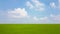 Large rice field around with blue sky and white clouds