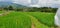Large ricefield at the mountains and rural