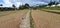 Large ricefield at the mountains and rural, footpath