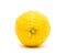 Large ripe lemon closeup on white background