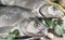 Large river fish bream cooked for frying