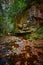 Large rock cliff along Flat Lick Creek near Gray Hawk, Kentucky