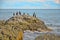A large rock with a flock of birds on the background of the sea in Crimea