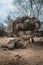 Large rock on the white sand surrounded by trees in Fontainebleau forest