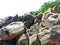 Large Rocks On The Beach At Tanjung Kalian Beach