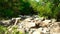 Large rocks and boulders in parched river in jungle. Dry river bed with big stones during drought season. Dry river on