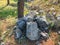 Large rocks, paving stones next to a pine on a green grass near the road. Close up shot.