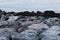 Large rocks on sea shore water`s edge seascape on summer day