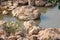 Large rocks, top view in swamps, attractions, region for natural formed background