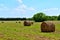 Large Round Bails of Corn Stalks Sileage