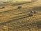 Large round bales of hay laying in a crop field