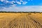 Large round cylindrical straw or hay bales in countryside on yellow wheat field in summer or autumn after harvesting on sunny day