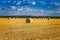 Large round cylindrical straw or hay bales in countryside on yellow wheat field in summer or autumn after harvesting on sunny day