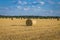 Large round cylindrical straw or hay bales in countryside on yellow wheat field in summer or autumn after harvesting on sunny day