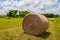 Large round grass hay bale