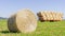 A large round hay bale in a field in the Tuscan countryside, with a trailer full of hay bales in the background, Italy