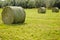 Large round hay bales agriculture alfalfa grass