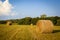 Large round hay bales sitting on farmland in Kentucky