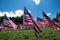 Large Rows of United States of America Flags Outside in the Sunshine