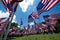 Large Rows of United States of America Flags Outside in the Sunshine