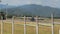 Large royal Thai air force aeroplane taking off from Mae Hong Son airport runway