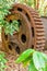 Large rusty gear of Tin Dredge in the deserted tin mine. Dry leaves fall on the ground, tropical forest backgrounds