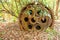 Large rusty gear of Tin Dredge in the deserted tin mine. Dry leaves fall on the ground, tropical forest backgrounds