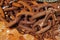 Large Rusty Metal Chains