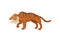 Large saber-tooth tiger or smilodon, side view. Prehistoric mammal. Wild animal from ice age. Flat vector design