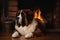 A large Saint Bernard dog laying in front of a fire place. AI generative image.