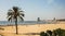 A large sand beach with a green palm and many people catch some rays on the seashore.